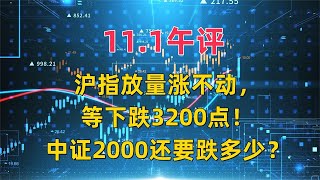 111午评，沪指放量涨不动，等下跌3200点！中证2000还要跌多少？ [upl. by Prisilla348]