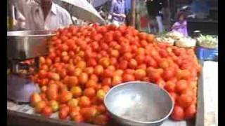 NAVSARI MOTA BAZAR VEGETABLE MARKET [upl. by Weiser]