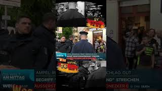 Habt ihr keine anderen Probleme deutschland news nachrichten politik new shorts real ampel [upl. by Adihsar]