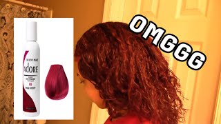 HOW I DYE MY HAIR AT HOME USING ADORE HAIR DYE  Natural T [upl. by Nail336]