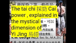 The tai chi 採勁 6Cai power energy explained in the mystical dimension of Yi Jing 易經 [upl. by Humberto]