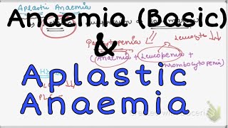 Aplastic Anemia AplasticAnaemia Anaemia Pathology [upl. by Fannie]