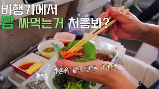 유럽 신혼여행 코로나 풀리고 2년만에 신혼여행ㅣ 독일 프랑크푸르트 직항 아시아나 이코노미 스마티움ㅣ기내식 쌈밥 [upl. by Llennahc]