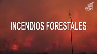 Los Incendios Forestales [upl. by Annael]