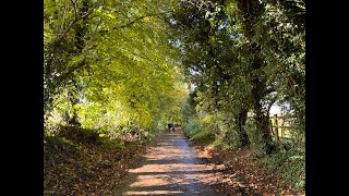 A Walk into Marlborough Town from our House [upl. by Llenrahs524]