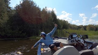 Lake Scugog Toad [upl. by Eirojram]