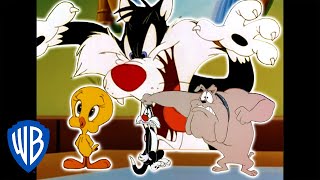 Looney Tunes  Catching Tweety  Classic Cartoon Compilation  WB Kids [upl. by Arissa]