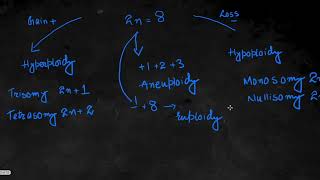 Chromosomal Abbreations Explained [upl. by Eyks770]