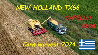 Συγκομιδή καλαμποκιού 2024 Corn harvest NewHolland TX66 🌽🌽JimmysFarm97 [upl. by Alemac]