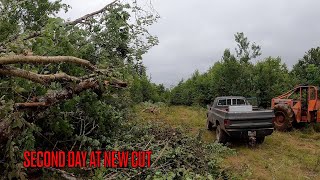 Old Logging Equipment 240D 453 Timberjack 2nd Day on The New Cut [upl. by Nemad45]