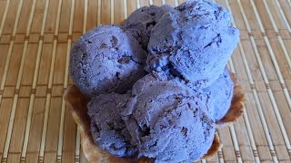 Blueberry Chocolate chip ICE CREAM 🫐 🍫NO MACHINE [upl. by Keviv]