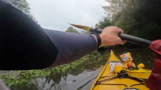 Pudsey explores Upper Hamble [upl. by Llenaj225]