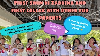 First swim ni Zabrina  collab with other influencers [upl. by Tade114]