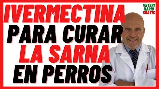 CÓMO ADMINISTRAR MEDICAMENTOS A TU PERRO  VIDEOCONSEJOS ECUPHAR [upl. by Iyre]