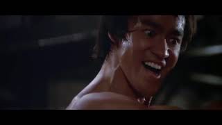 Best Fight Scenes Bruce Lee [upl. by Ariak823]