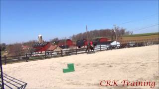 First Time Cantering on a Horse  Crazy8Family [upl. by Pavkovic]