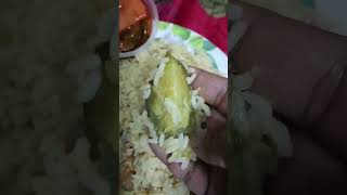 Brinjal rice with omelette [upl. by Fredkin]