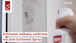 Anti Schimmel Spray  Schimmel am Fenster entfernen [upl. by Neahs527]