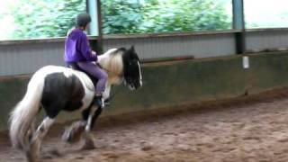 LEARNING TO JUMP  Horse Riding Vlog [upl. by Kondon]