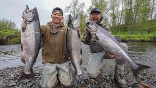 INSANE Alaska King Salmon Fishing CATCH CLEAN COOK [upl. by Elaina228]