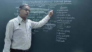 External features of BranchiostomaAmphioxus [upl. by Enttirb678]