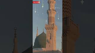 shorts Islamic shorts Islamic video shortvideo videoshorts 💫🥰🫀 [upl. by Larina]