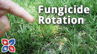 Lawn Fungicide Rotation Applications  Lawn Care Disease Control  DoMyOwncom [upl. by Wolsky996]