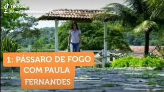 Paula Fernandes  Pássaro de Fogo Clipe Oficial [upl. by Rolyab]