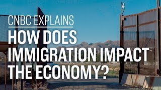 How does immigration impact the economy  CNBC Explains [upl. by Baxy]