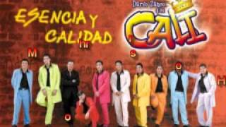 Grupo Cali  Telenovela [upl. by Salohcim]