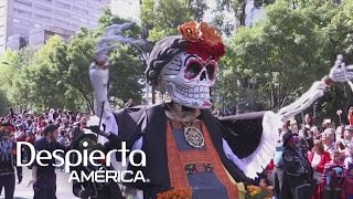 ¡Así recorrió la muerte las calles de la Ciudad de México [upl. by Aon690]