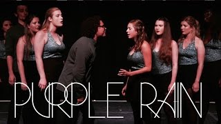 Purple Rain by DU Northern Lights  A Cappella cover  Edinburgh Fringe 2016 [upl. by Nyleak729]