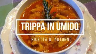 Trippa in umidoCome fare la trippa in umidoRicetta di trippa alla bresciana [upl. by Gannie856]