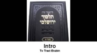 Talmud Full Audiobook Volume 3  Tract Erubim  Translated By Michael LRodkinson [upl. by Theadora]