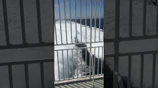 Thundering across the Irish Sea ferries swift irish [upl. by Ennovehs]