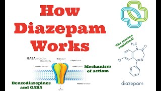 How Diazepam Works Learn how the benzodiazepines work on the GABAA receptor to reduce anxiety [upl. by Selym]