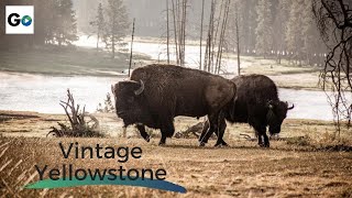 Vintage Yellowstone The Worlds First National Park  Full Vintage Documentary [upl. by Abe]