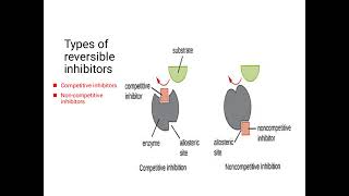 inhibitors and their types Lilac2197 [upl. by Willner]