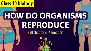 How Do Organisms Reproduce Complete Chapter🔥 in Animation Class 10th Science CH6 NCERT covered [upl. by Refinne583]