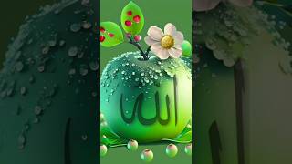 Yaa Rab ♥️🤍 allah muhammad islamicvideo islamicstatus islamic islam shorts music trending [upl. by Anyel]