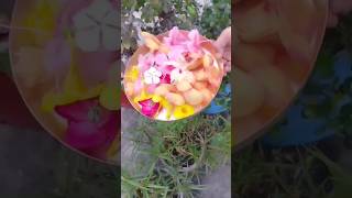 Flower status song flower Hindi song video fullscreen 4k status whatsapp statusshortsstatus [upl. by Assilram]