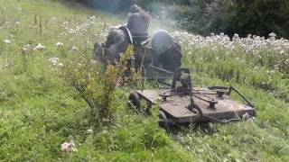 quotLittle Grey Fergiequot Ferguson TEF20 Diesel Cold Start amp Mowing [upl. by Egide48]