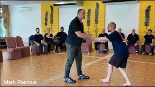 Fajin Issuing  Theory amp Practice  Elastic Force Chi Kung [upl. by Bamby]