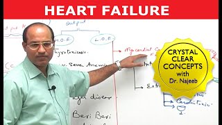 Heart Failure  Cardiac Pathology [upl. by Anairuy]