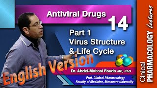 Antiviral ChemotherapyEn  Part 1 virus structure and life cycle [upl. by Ellatsirhc]