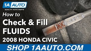 How to Check and Fill Under Hood Fluids 0511 Honda Civic [upl. by Haela507]