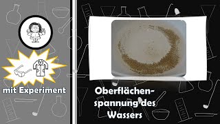 Oberflächenspannung des Wassers DIY  Experiment mit Wasser Pfeffer amp Spülmittel [upl. by Ymled602]