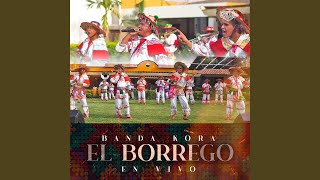 El Borrego En Vivo [upl. by Griggs]