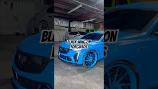 Rapid Blue BlackWing on 24” Forgiato cjon32s 32gang Blackwing Cadillac [upl. by Eerrehs]