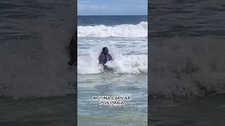 ROTINA CAPILAR PÓS PRAIA  HIDRATANDO O CABELO rotinacapilar praia vlog [upl. by Pharaoh348]